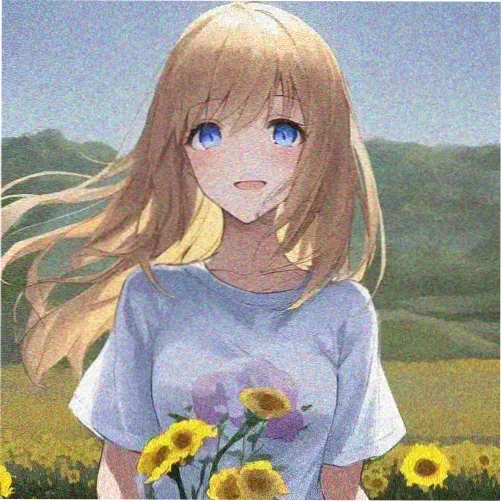 用户头像一